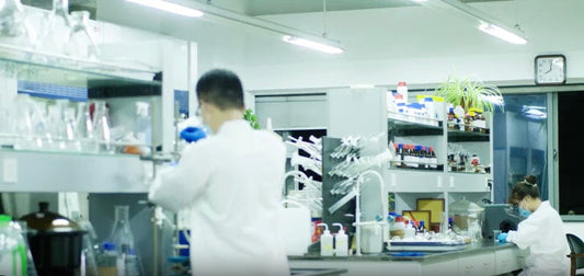 How to Build a Full-Spectrum Pharmaceutical Testing System from R&D to Production